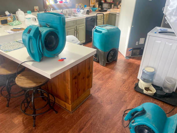 Best Emergency water damage restoration  in Orchard Hills, PA