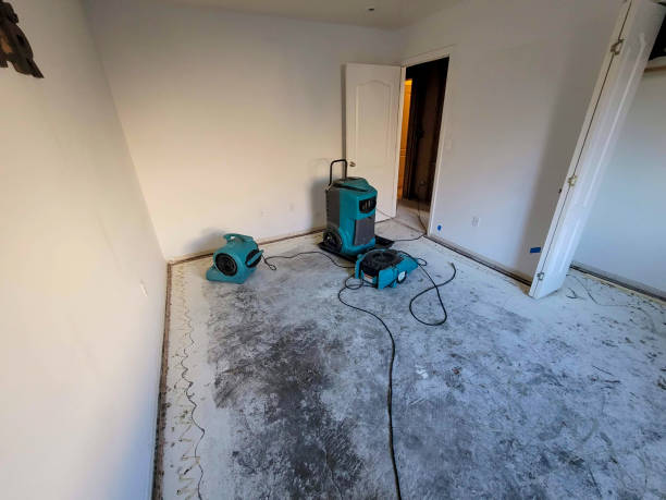Best Water damage contractors near me  in Orchard Hills, PA