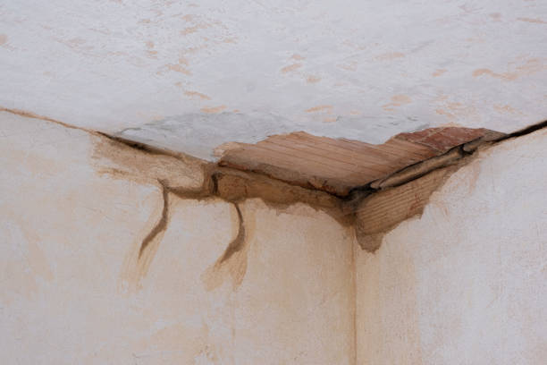 Best Ceiling water damage repair  in Orchard Hills, PA