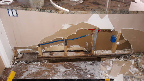 Best Local water damage restoration  in Orchard Hills, PA
