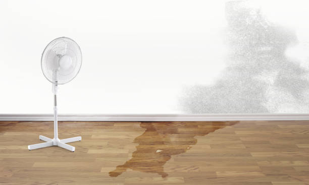 Best Flooded house restoration  in Orchard Hills, PA