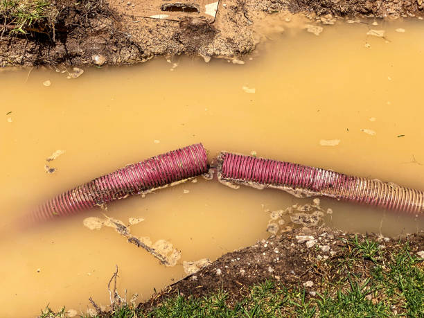 Best Flood damage cleanup  in Orchard Hills, PA