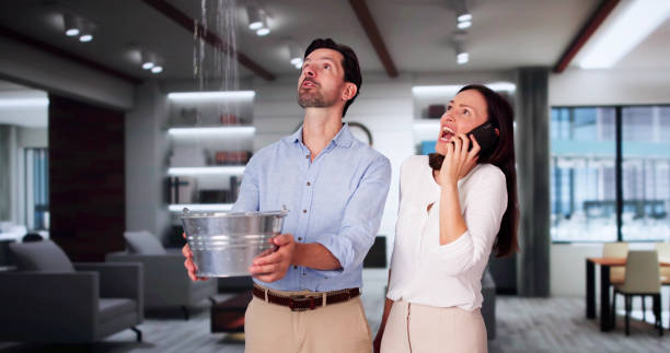  Orchard Hills, PA Water damage restoration Pros