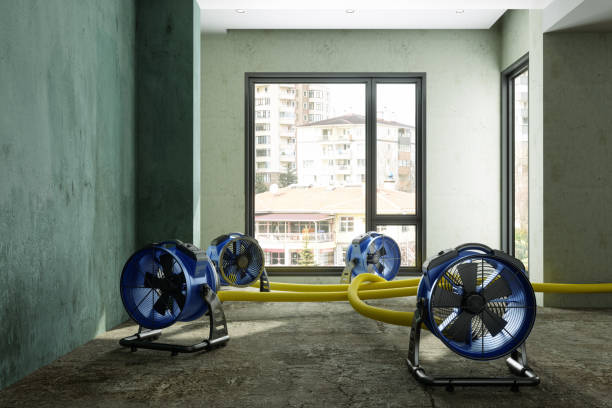 Professional Water damage restoration in Orchard Hills, PA